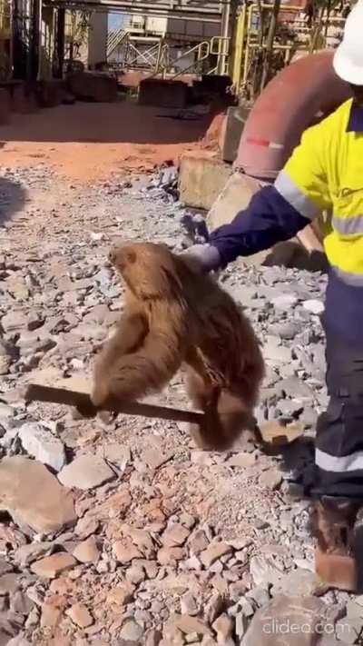 Guy just knew how deal with it