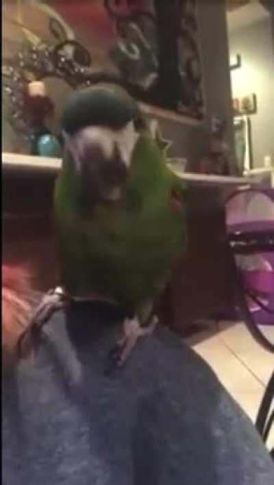 Do you want to play Peek-A-Boo?