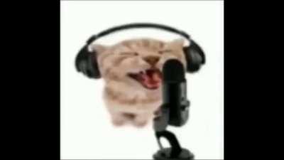 VIVACHILE en el chat