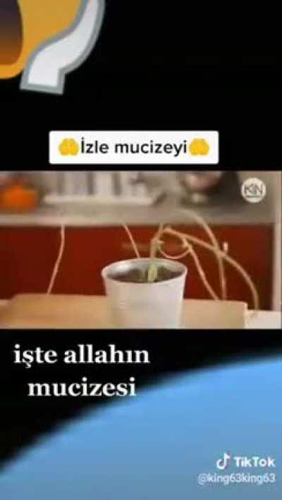 Tubitak projemi buldum ezan okuyunca papaz kivisinden imam muzuna dönüşen muz