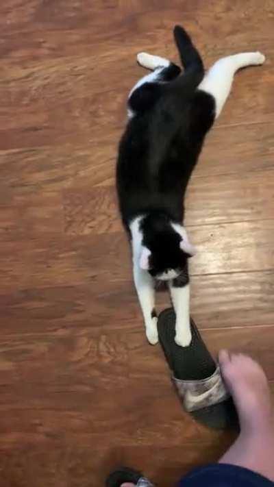 He won’t give me back my shoe!!