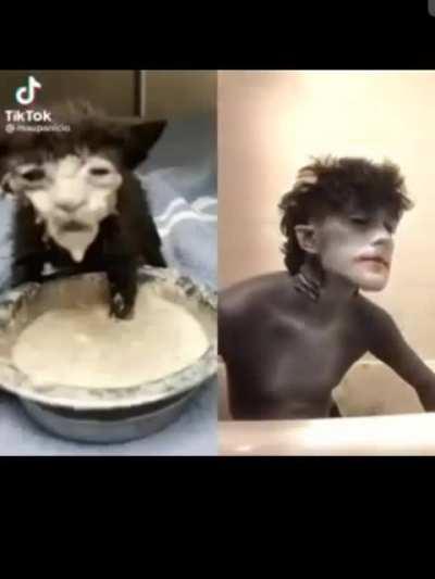 I imagine it would make a woughg sound