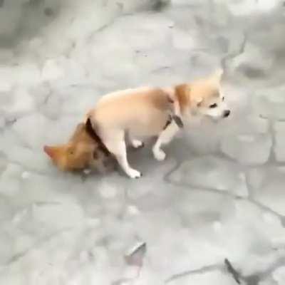 Is this even really possible?