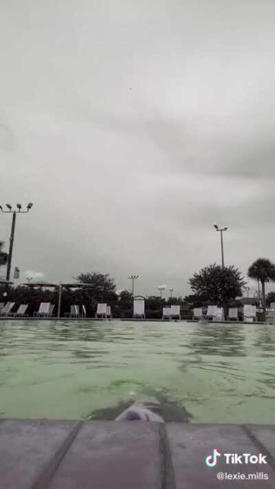 Hang low sweet chariot