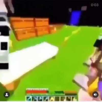 Thanks, I hate minecraft horses