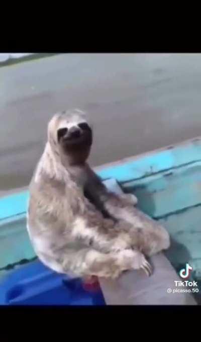 South American Uncle Ben lore