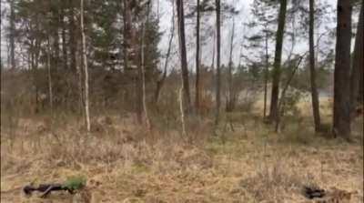 An American is told there is a camouflaged Ukrainian soldier nearby. - 