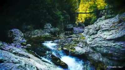 From Zero To BYE in 20 seconds (Open and Closed eye visuals)