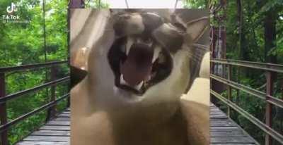 roasted!!!1!!!!1!!!!1!1!1!