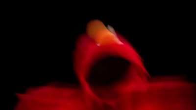 First Winning Season Since 2015!!!