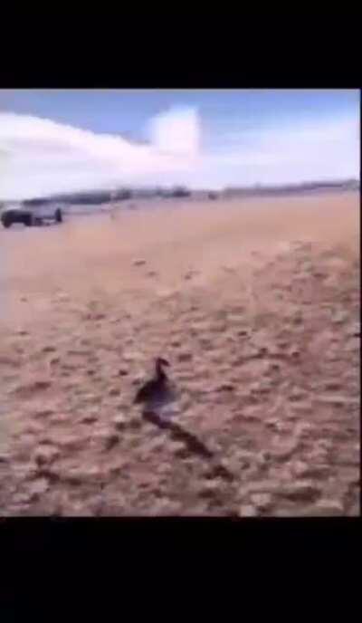 Le sabe al truco 🚬🚬🚬