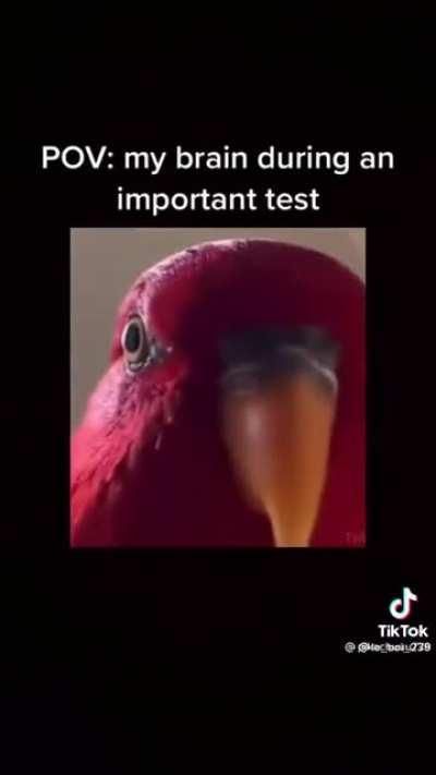 Funny tik tok haha loll!!1!!2!2!1!1!1!1!1!!1 (the name is a meme)