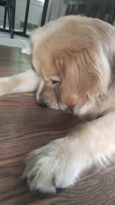 И так каждое утро..