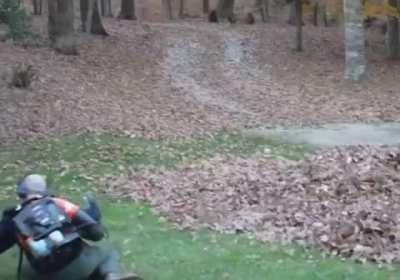 These kids hid in a leaf pile to scare their dad