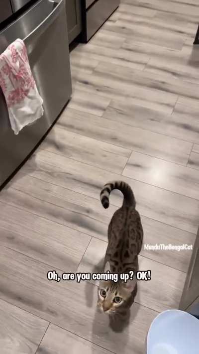 Mandu, the certified Moth Management Specialist in action