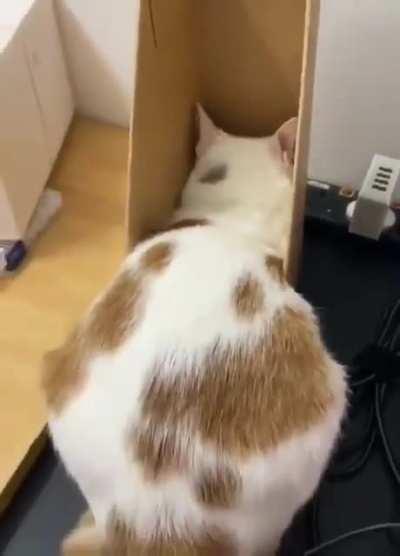 I'll take this box right here, I'll make the fit work for me.