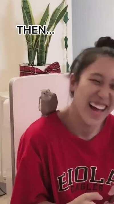 If your happy and you know it