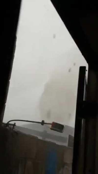 my cat people need me