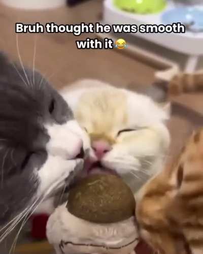 Bro took this opportunity