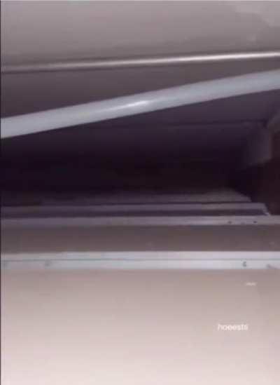 Looks like a homeless guy. Also, idk if this is allowed.