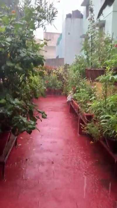 Bangalore Rains