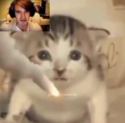 I don't know what is this but its funny.