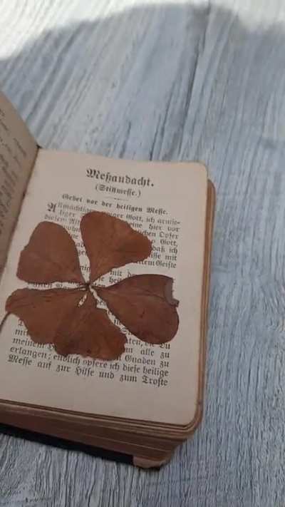 Bought this small book today