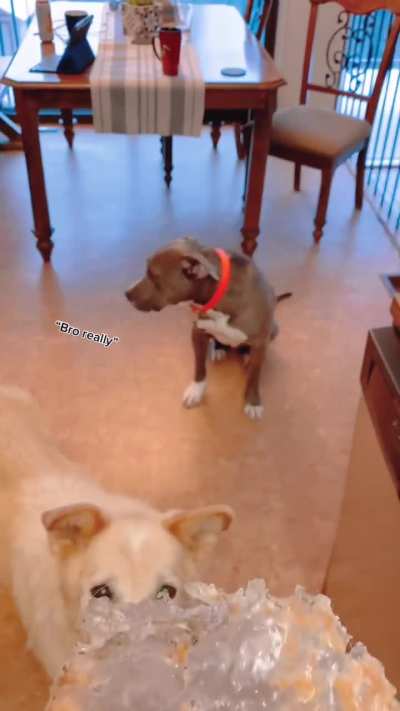 Guess who made the mistake among them