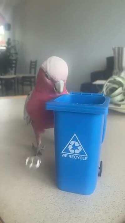 Happy earth day parrot lovers!