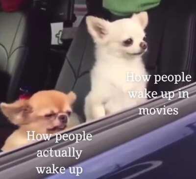 I’m sorry I can’t be him