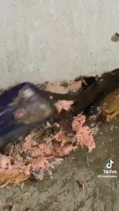 How to skin and debone a fish