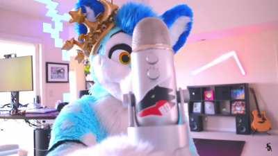 Fluke Without Context Pt1