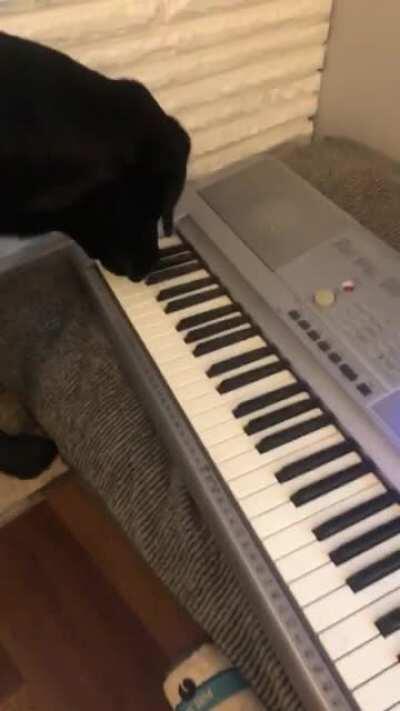 Adding in her vocals.