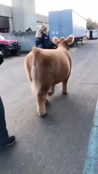 Look at this beautiful princess 👸