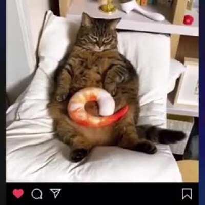 Pls do not throw shramp on me huma- how dare you