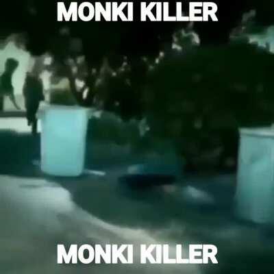 Monki killer 😎