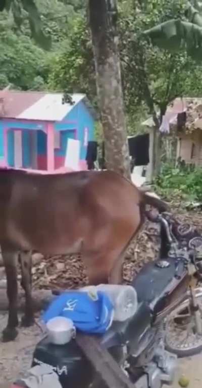 Additional horse power!