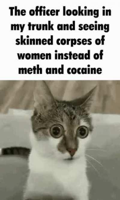 What seems to be the problem officer?