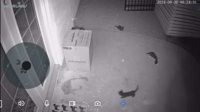 Needed a good omen? Last night in this apartment… :)