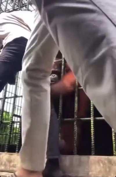 Nah this shit deadly 🤣😭