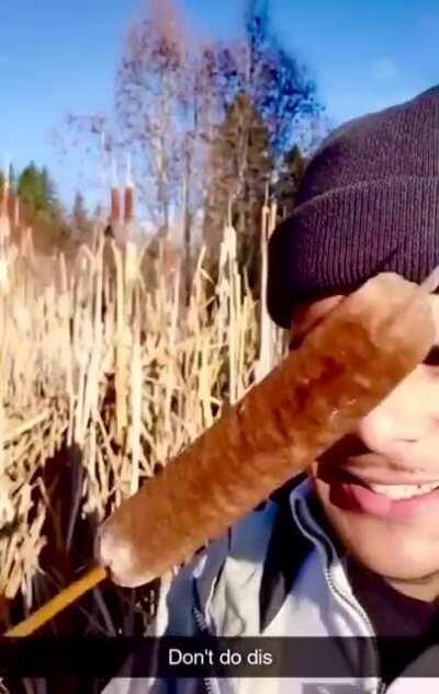 WCGW eating wild glizzies