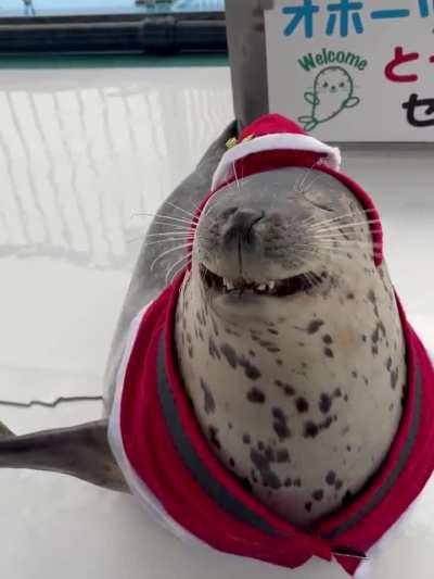 Santunk flies his sleigh and brings joy and whimsy