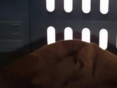 Obi-Wan uses force speed (xpost /r/starwarsgifs)