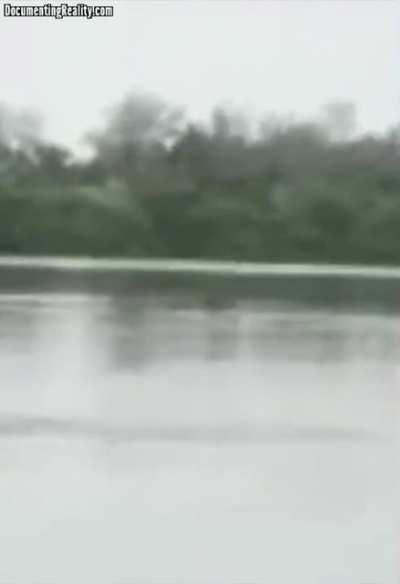 Swimming in the restricted part and ignoring all the gator warnings.