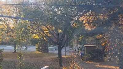 And there you have it... Fall