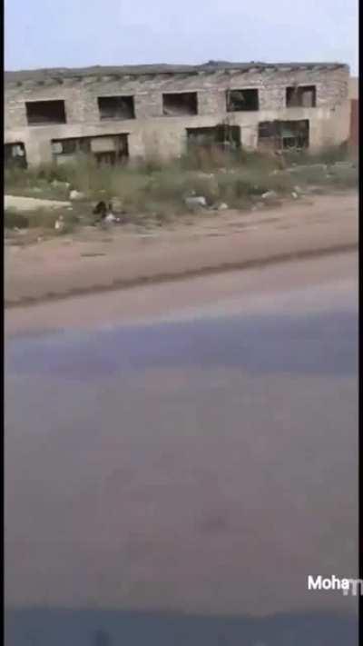 Alladin Depois Dos 40