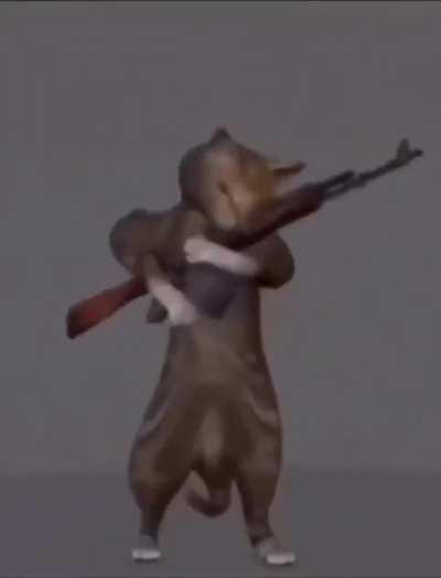 if bandits owned a cat