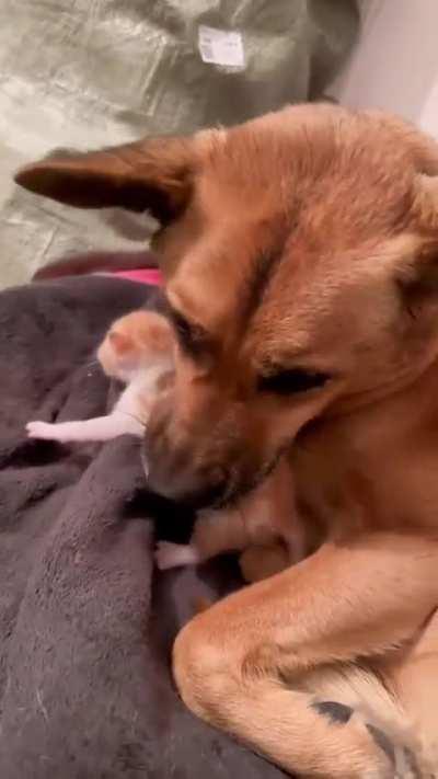 Same colour, this one must be mine 