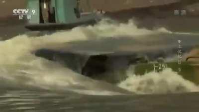 Пока я пытался понять, что это.. оно утонуло(