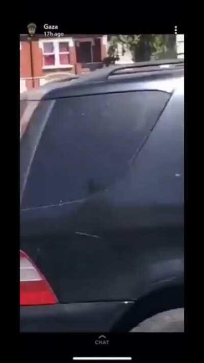 Enjoying the sunshine